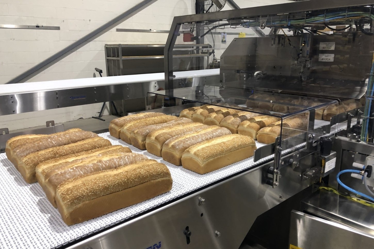 Food Conveyor_Tabbed Images