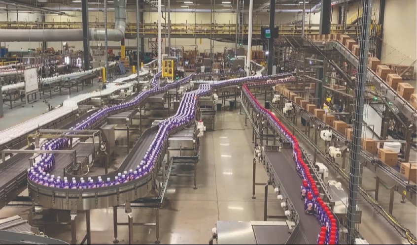 Bottle Conveyor Line