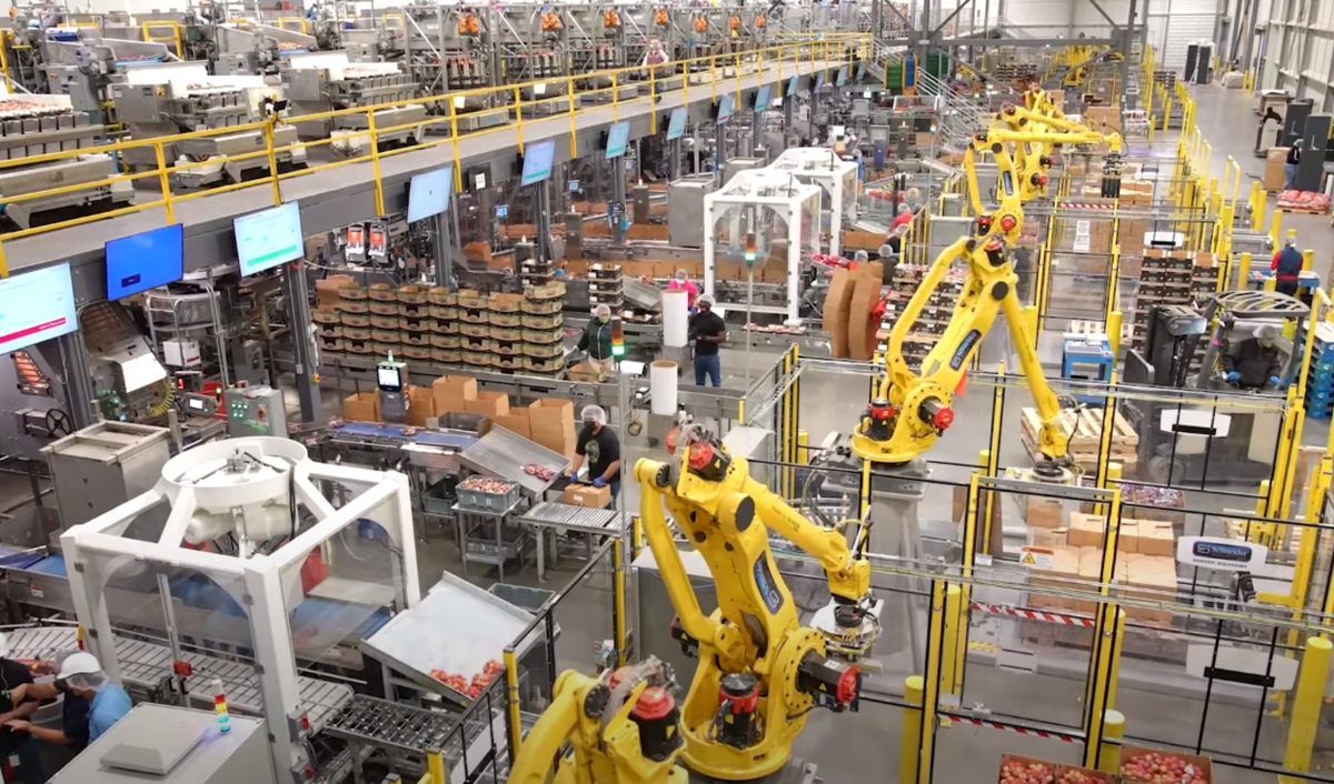 Robotic Palletizers