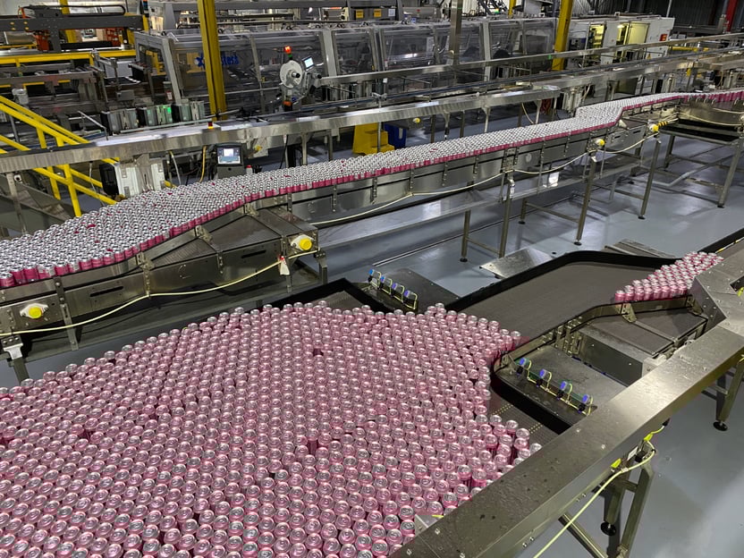 Descon-Conveyor-Audit-1