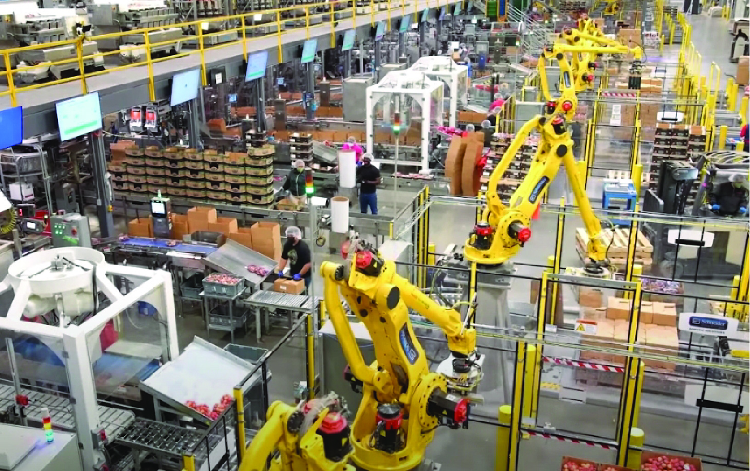 Palletizer_Flexi_Card