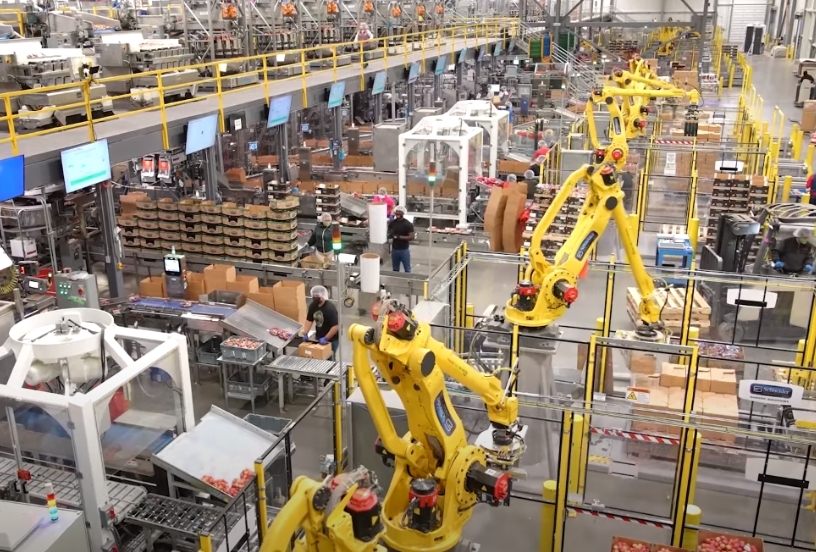 Versa Card (3C) Palletizer